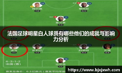 法国足球明星白人球员有哪些他们的成就与影响力分析